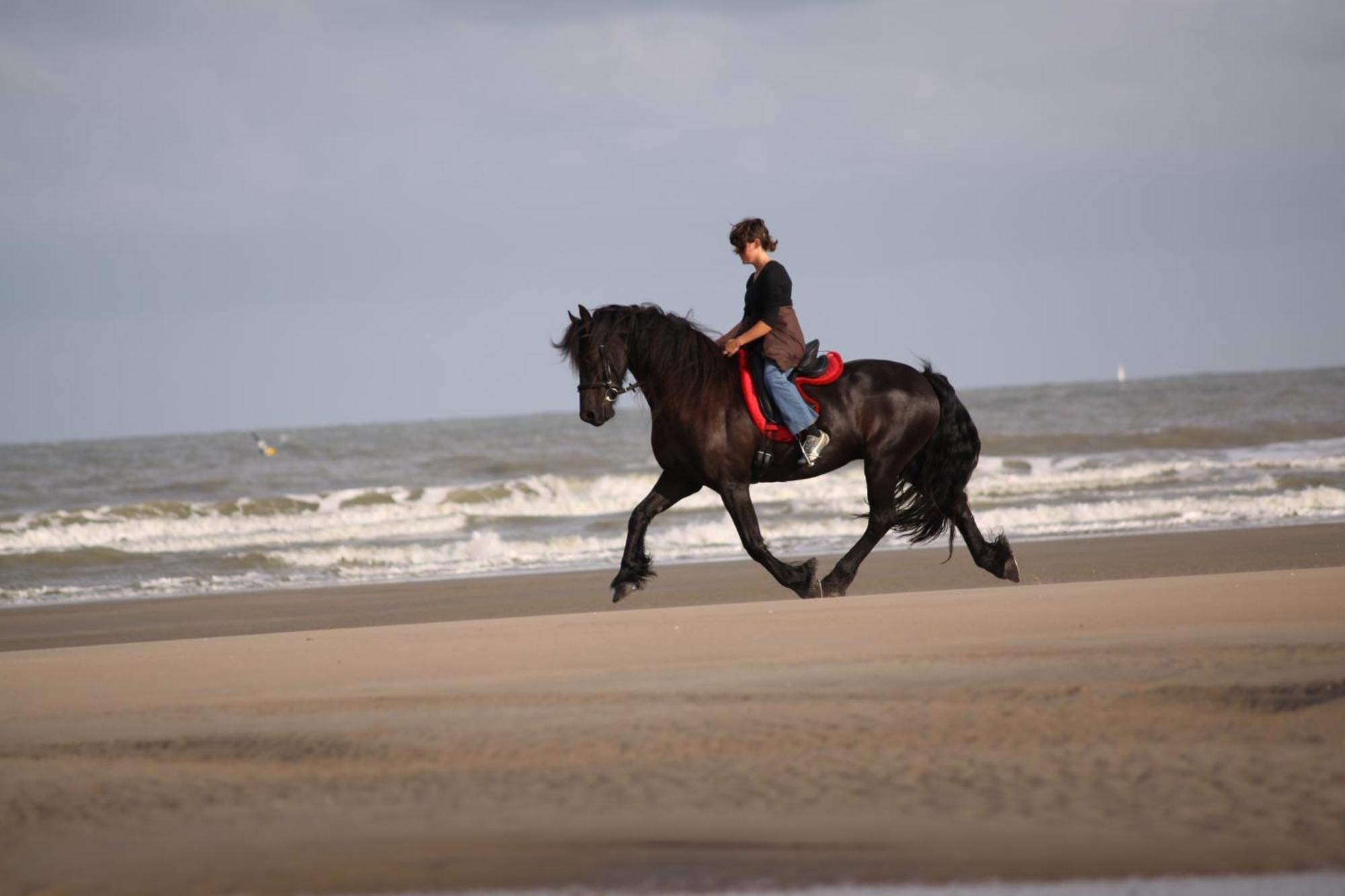 Escapade De Haan